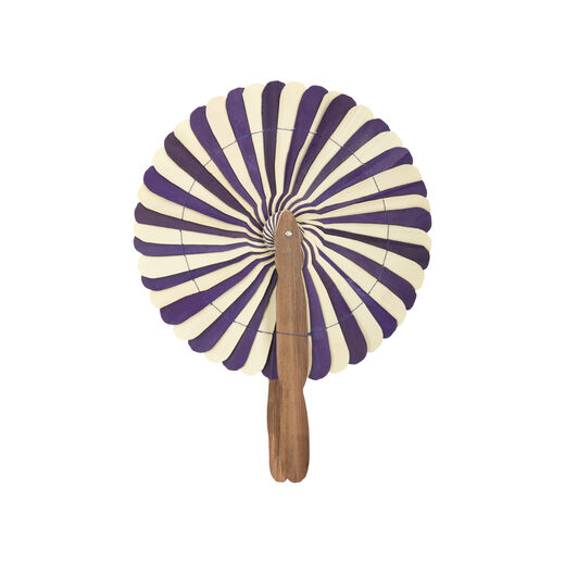 Colourful fan - assorted